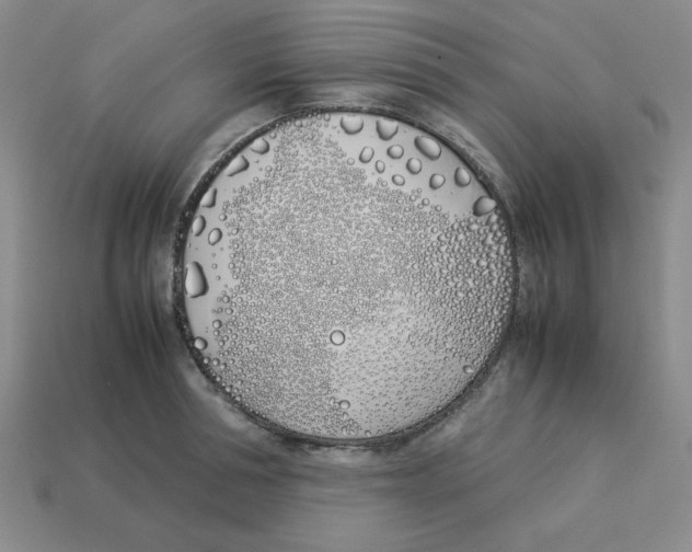 X0000113350994200910131236