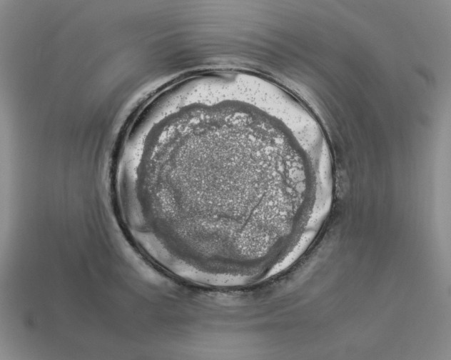 X0000113350995200910131236