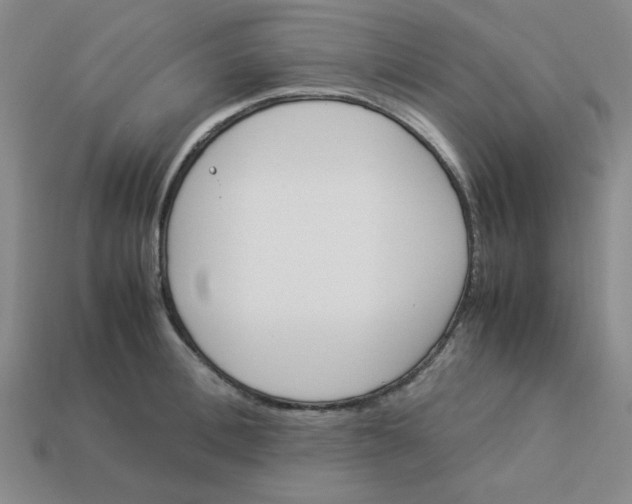 X0000113350996200910131236