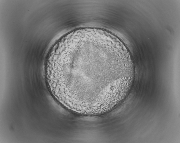 X0000113350998200910131236