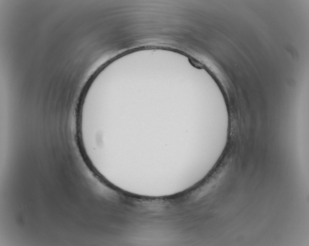 X0000113350999200910131236