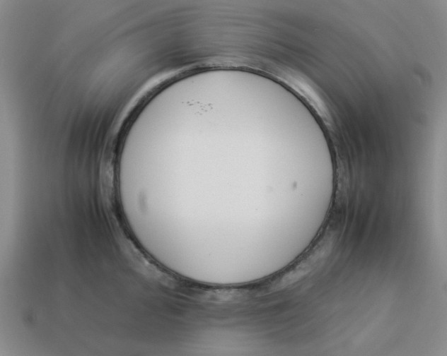 X0000113351000200910131236