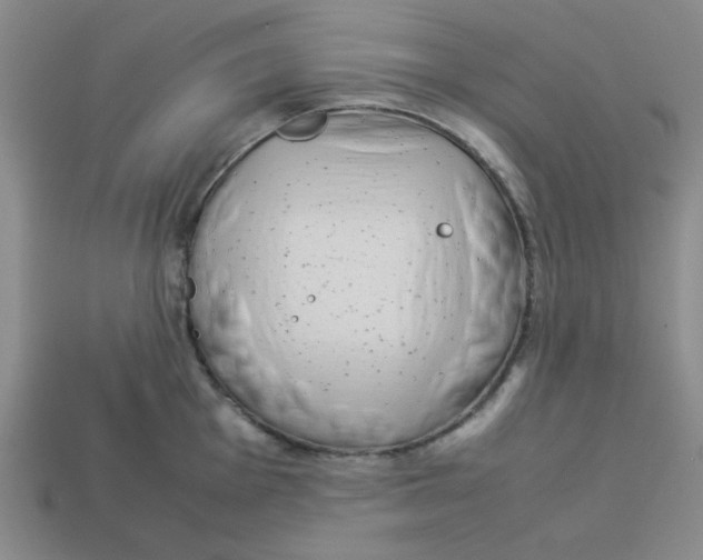 X0000113351001200910131236