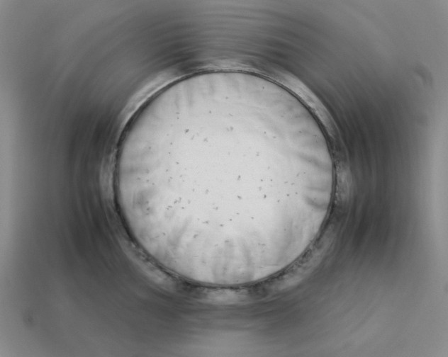 X0000113351002200910131236