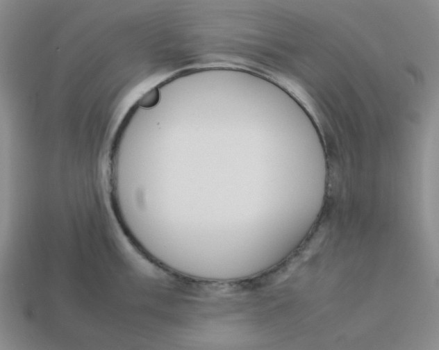 X0000113351003200910131236