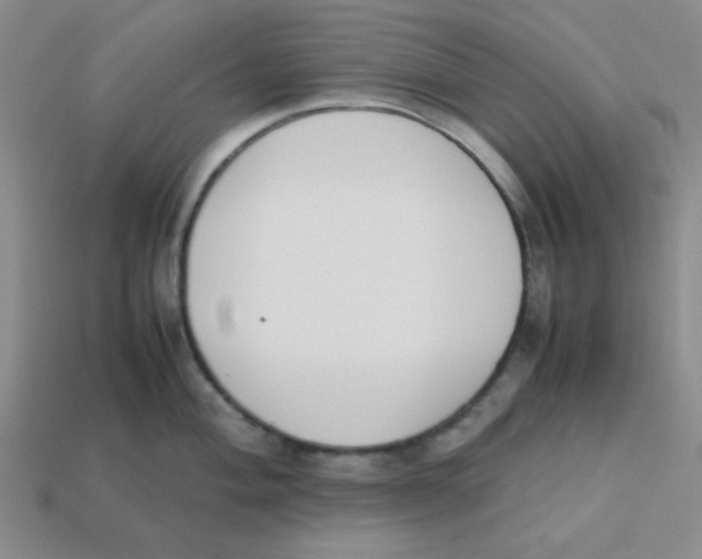 X0000113351004200910131236