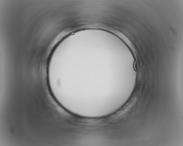 X0000113351005200910131236