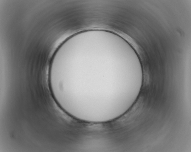 X0000113351006200910131236