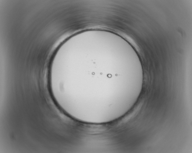 X0000113351007200910131236