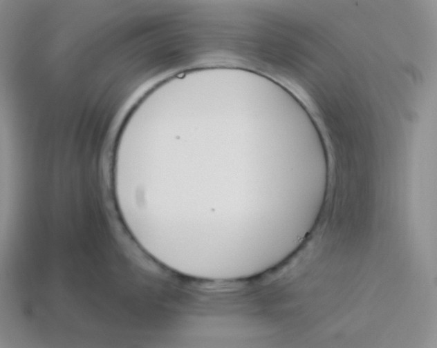 X0000113351008200910131236