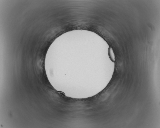 X0000113351010200910131235