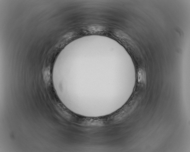 X0000113351011200910131235