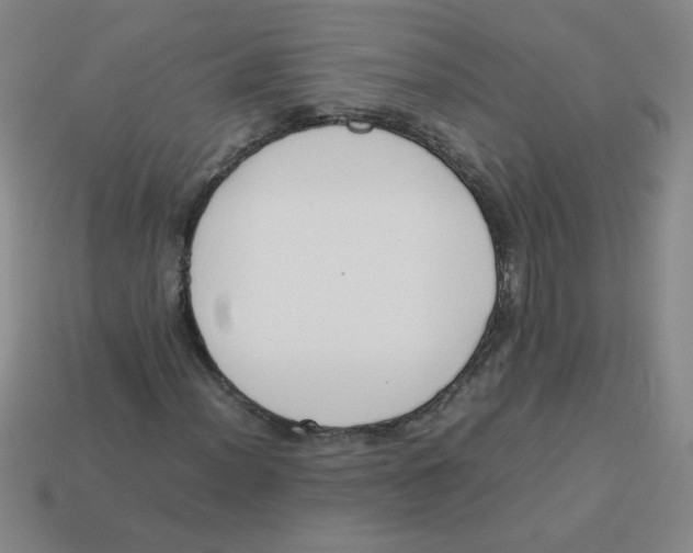 X0000113351012200910131235