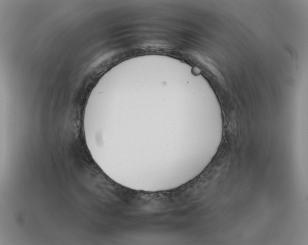 X0000113351015200910131235