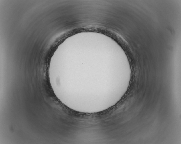 X0000113351016200910131235