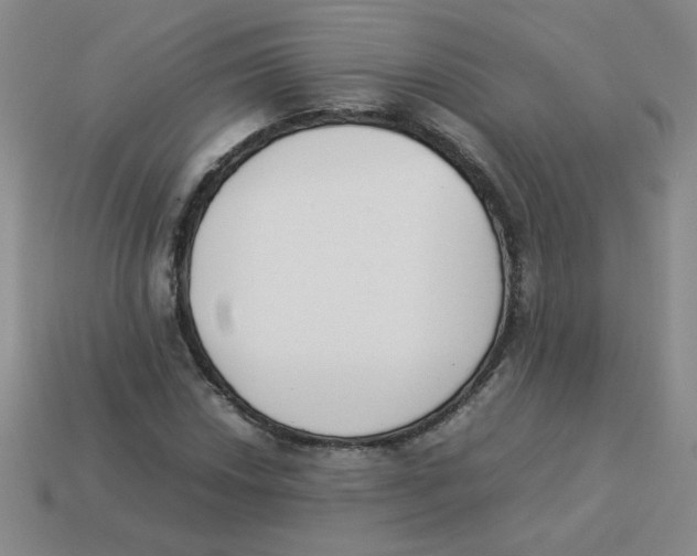 X0000113351018200910131235