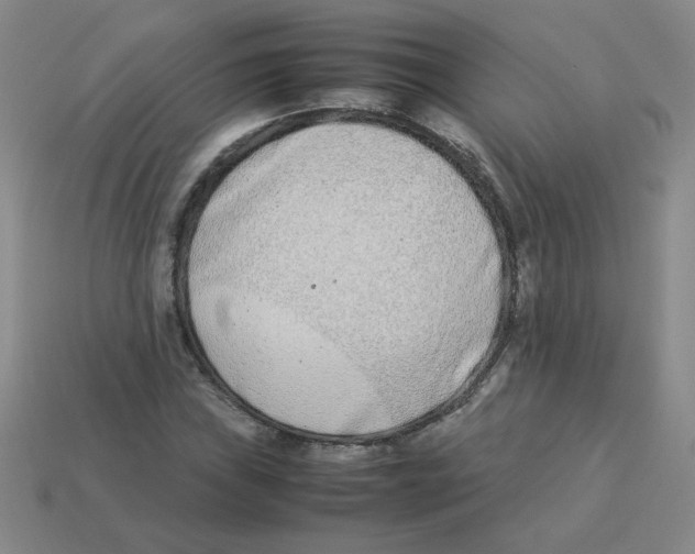 X0000113351019200910131235