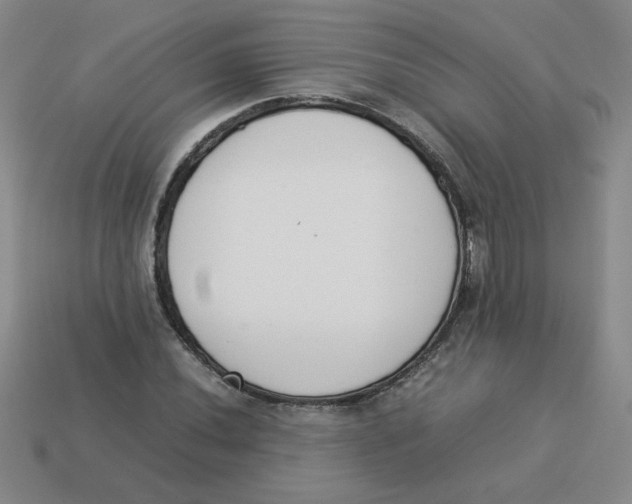 X0000113351020200910131235