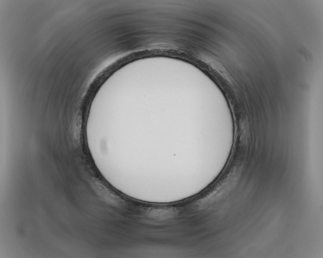 X0000113351021200910131235