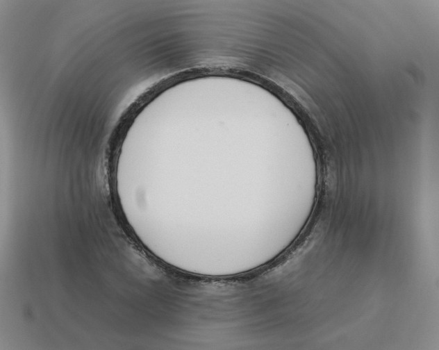 X0000113351022200910131235