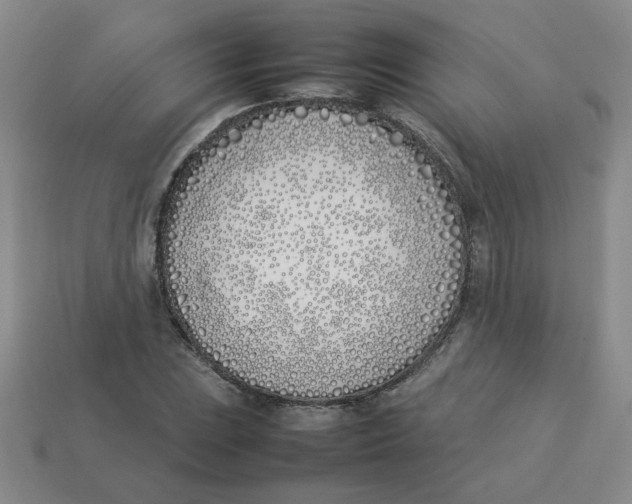 X0000113351023200910131235