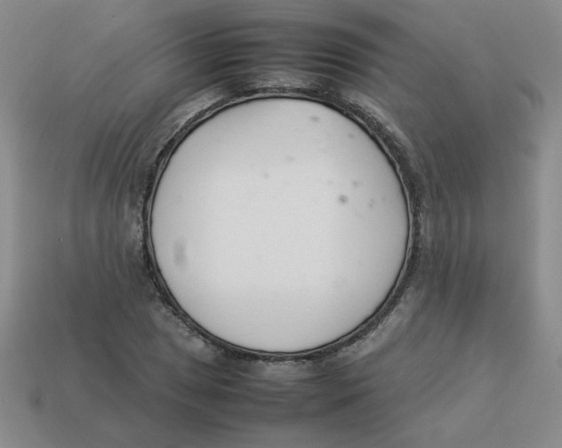 X0000113351025200910131235