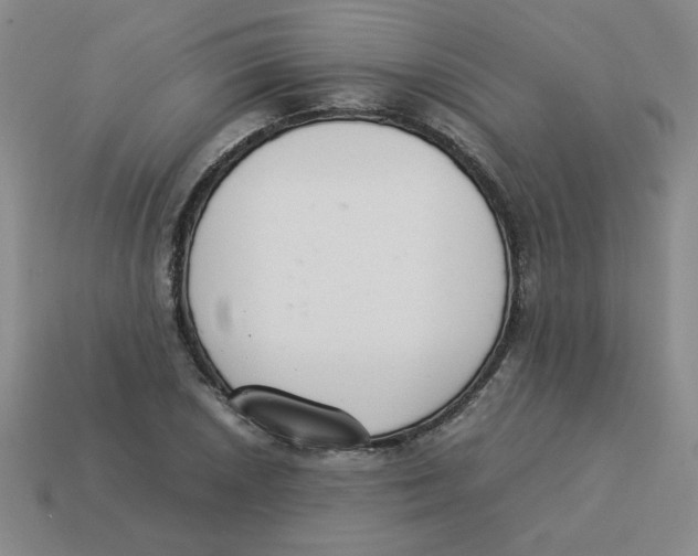 X0000113351026200910131235