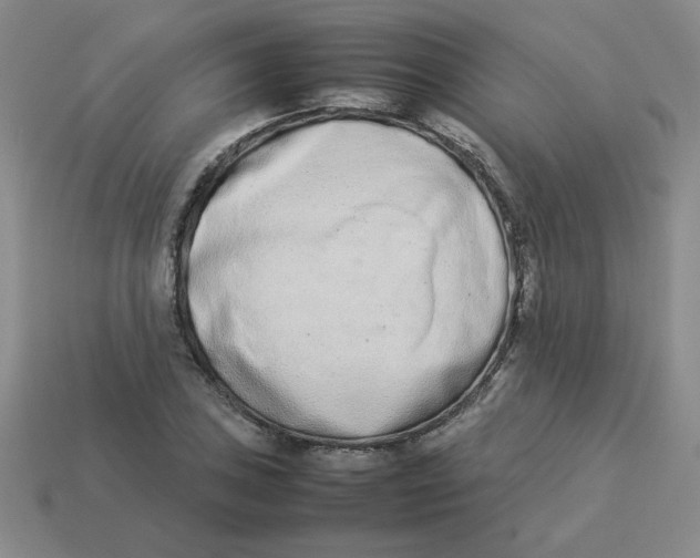 X0000113351027200910131235