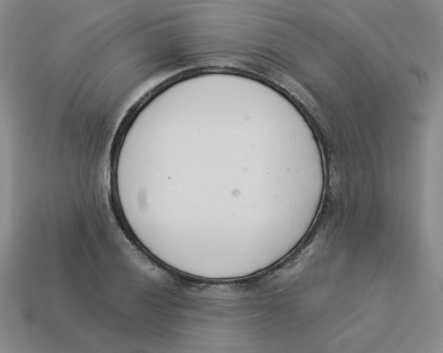 X0000113351028200910131235