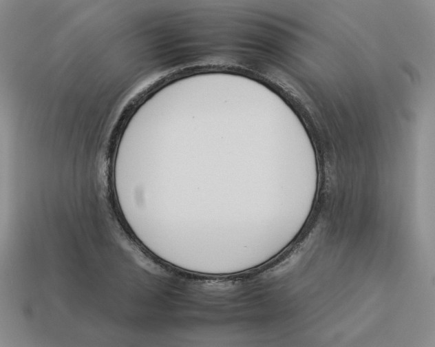 X0000113351029200910131235