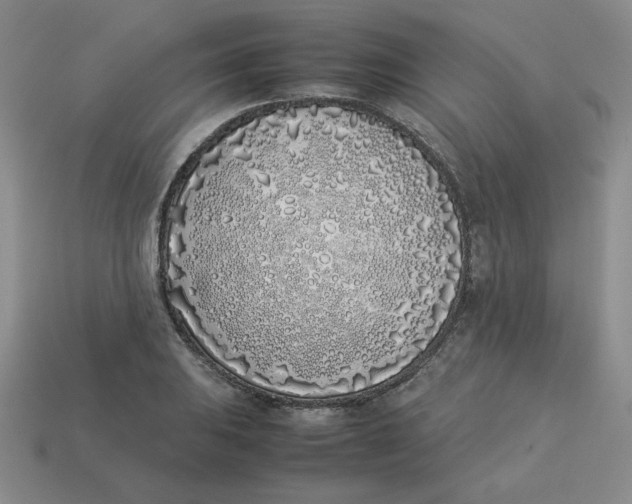 X0000113351031200910131235