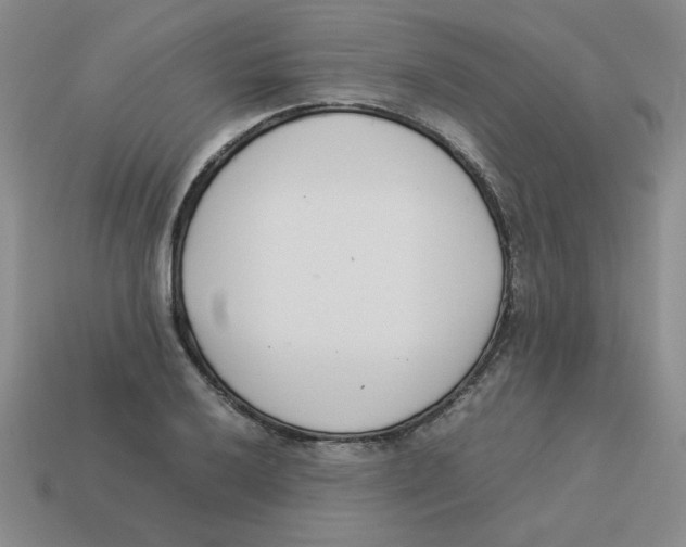 X0000113351032200910131235