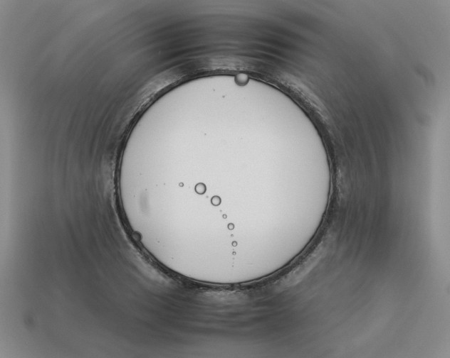 X0000113351033200910131235