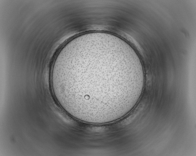 X0000113351035200910131235