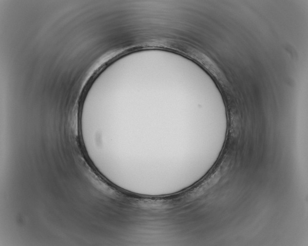 X0000113351036200910131235