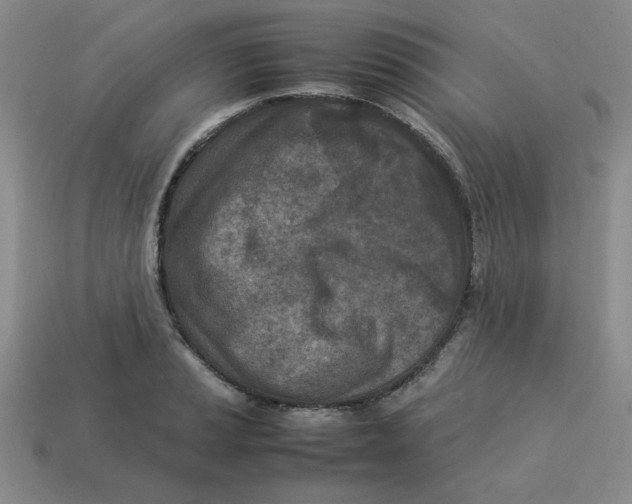 X0000113351037200910131235