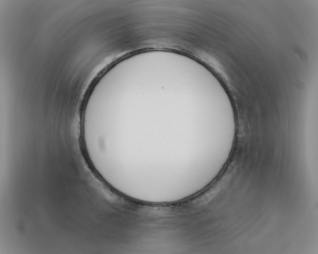 X0000113351040200910131235