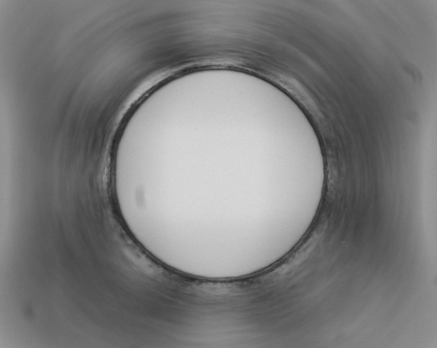 X0000113351044200910131235