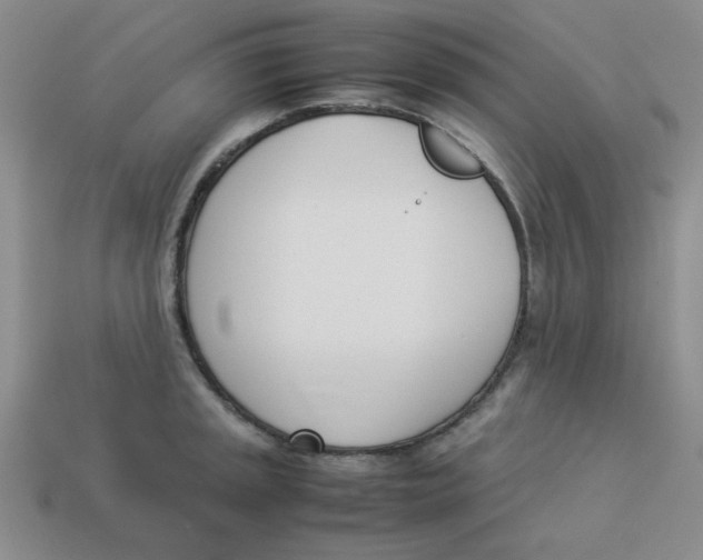 X0000113351045200910131235