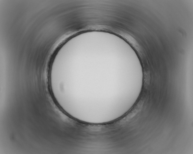 X0000113351046200910131235