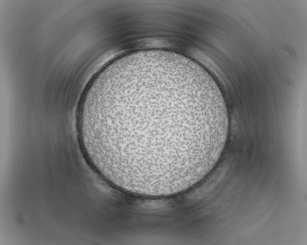 X0000113351047200910131235