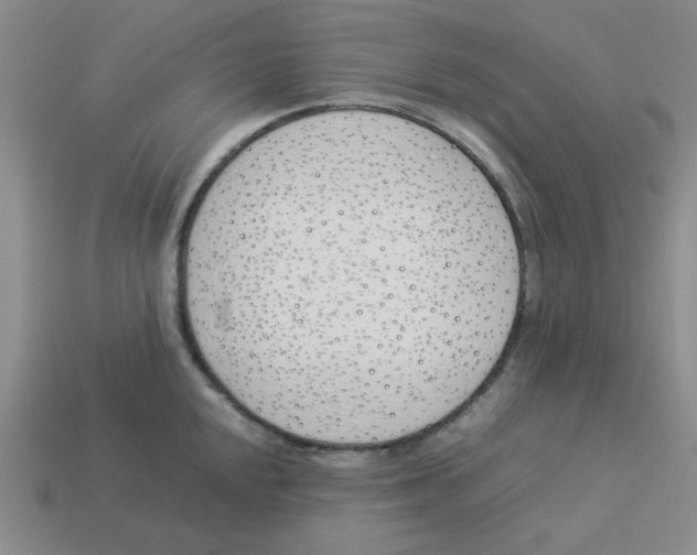 X0000113351048200910131235