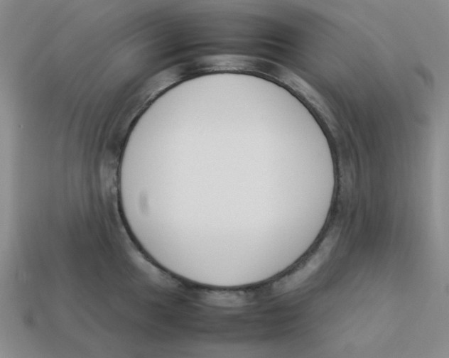 X0000113351049200910131235