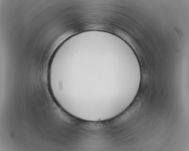 X0000113351050200910131235