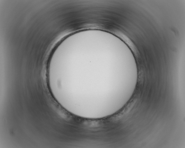 X0000113351051200910131236