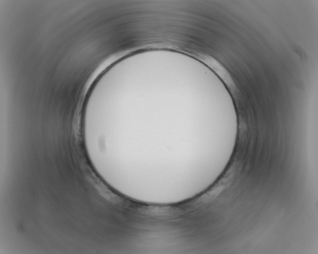 X0000113351052200910131236