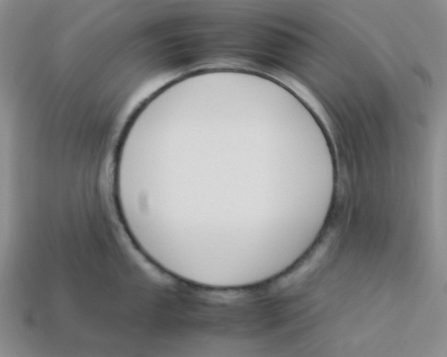 X0000113351053200910131236