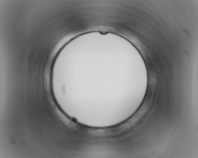 X0000113351054200910131236