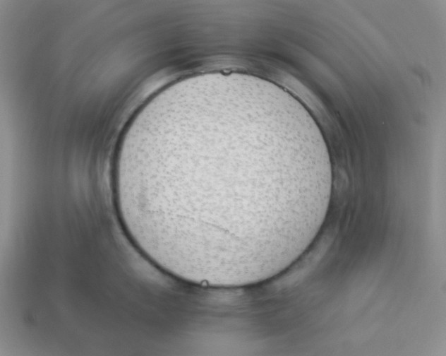 X0000113351055200910131236