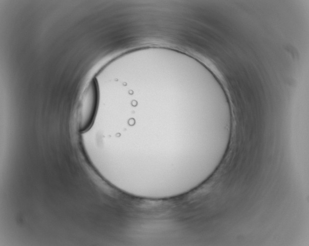 X0000113351056200910131236